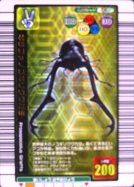 甲虫王者ムシキングカード/メインページ/トレーディングカード販売 