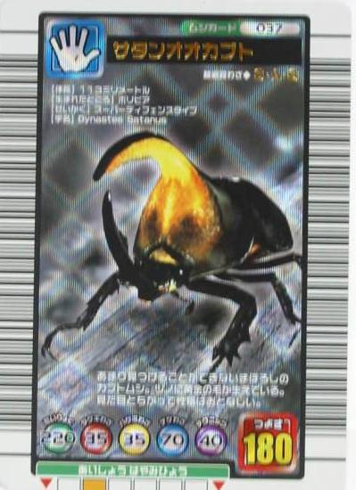 甲虫王者ムシキングカード メインページ トレーディングカード販売 シングルカード通信販売のハタトイ