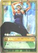PA-W27 不屈の闘志