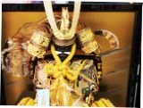 �l�`�̋v���ߋ�l�`�̔�